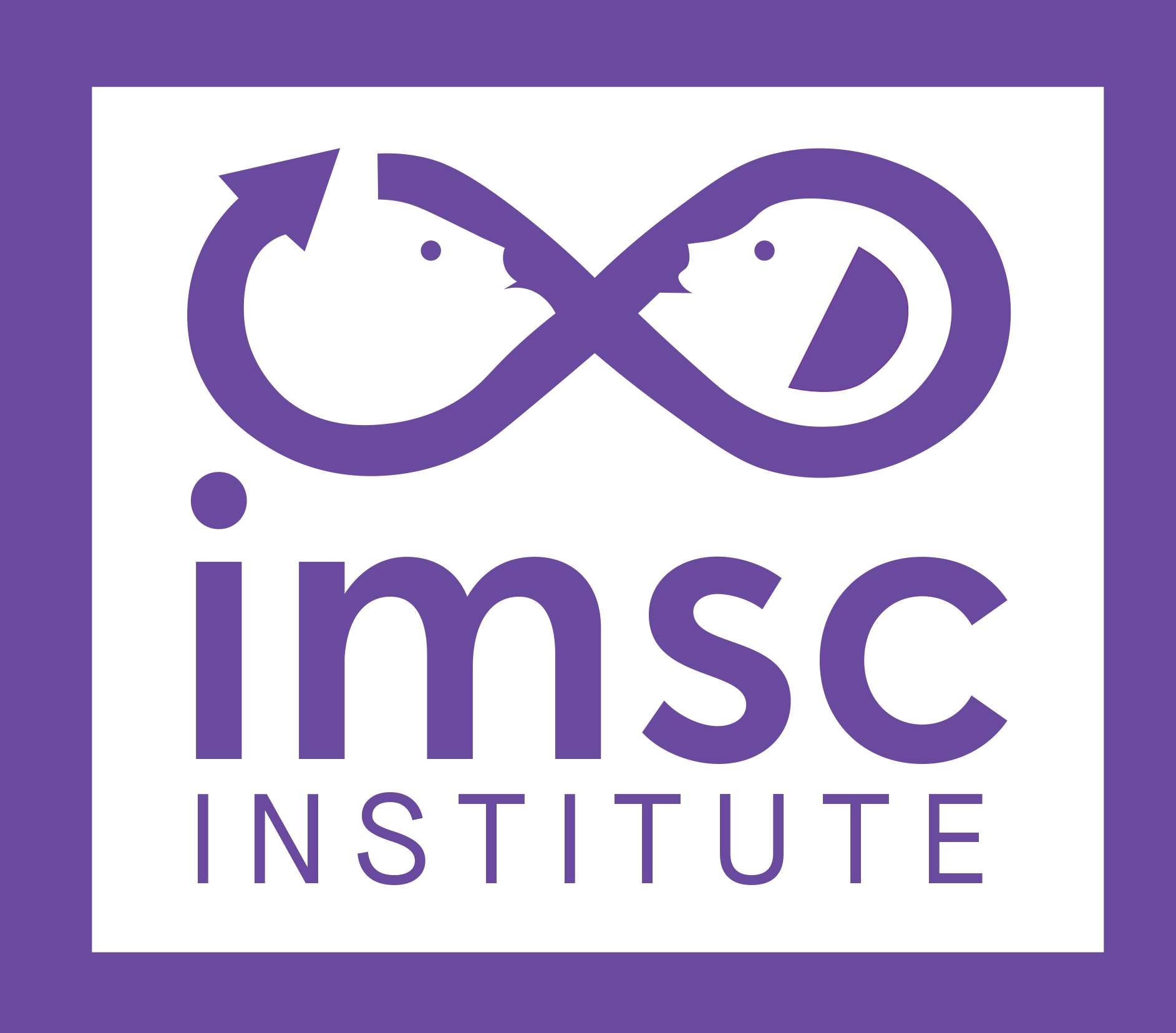 IMSC Institute